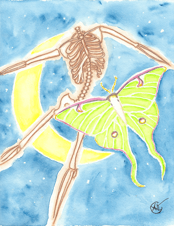 Skeleton_And_Moth